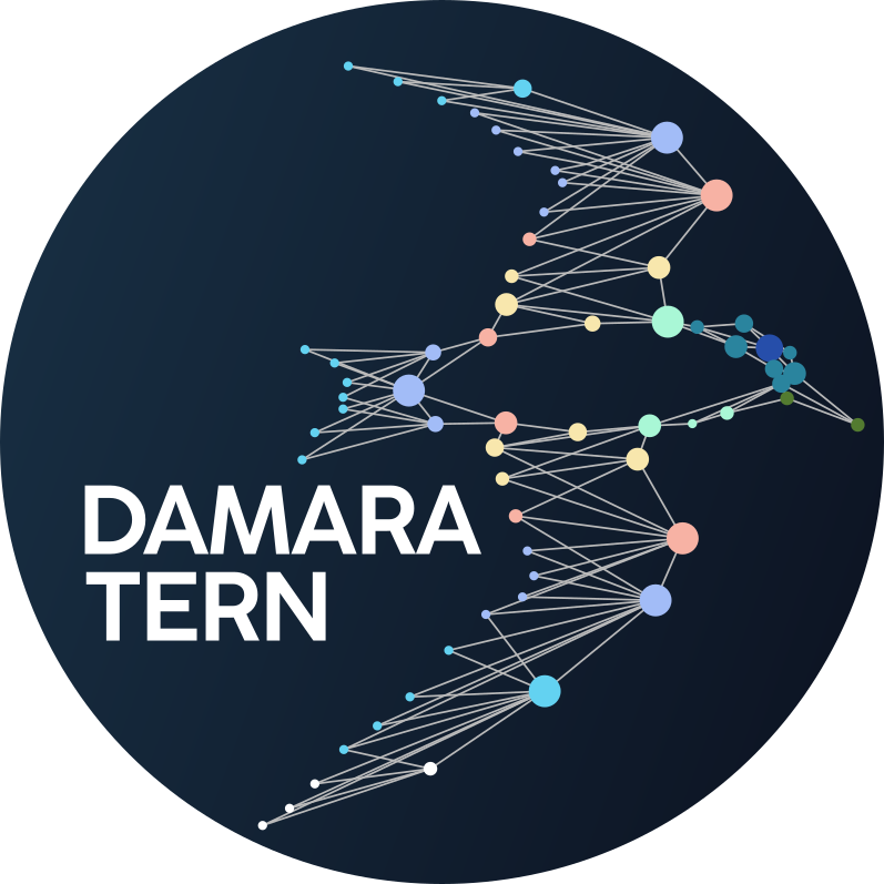 Damara tern picture